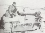 German 75 mm