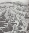 Siegfried Line